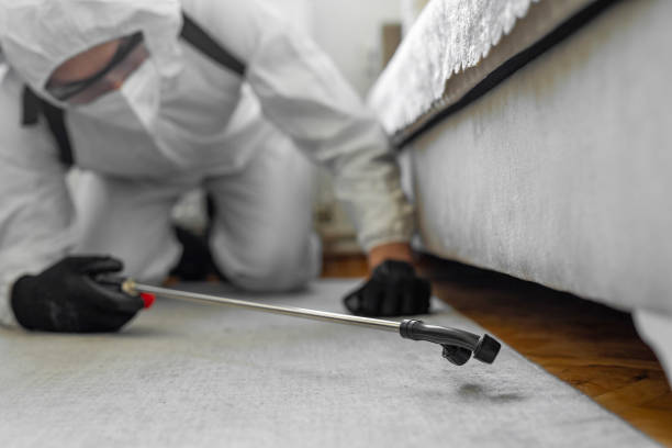 Professional Cockroach Control technician working in Collins, MS
