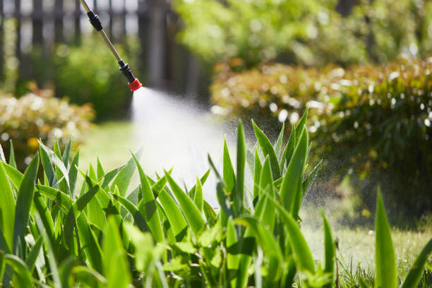 24/7 Emergency Cockroach Control experts in Collins, MS
