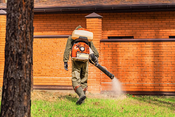 Top rated local Cockroach Control specialists in Collins, MS